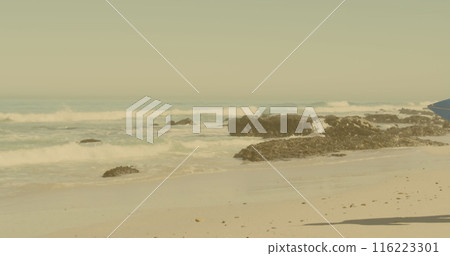 Image of light over african american couple walking with surfboards on beach 116223301