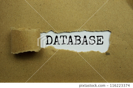 Database message written on white paper with torn paper background Database message written on white paper with torn paper background 116223374
