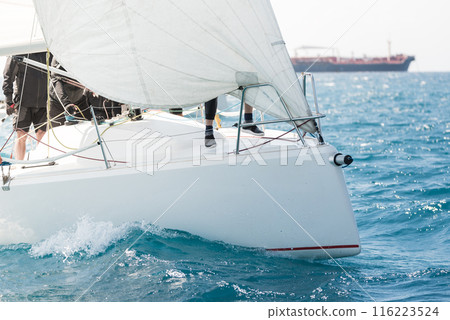 Competitive sailing race on open sea 116223524