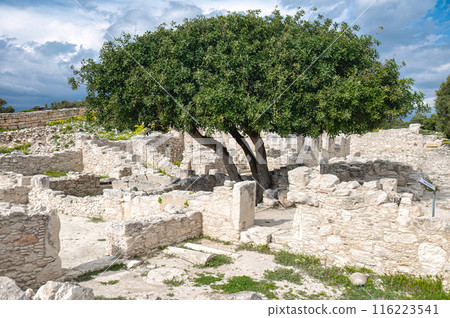 Ancient ruins of Roman house with a lush tree under cloudy sky. Limassol District. Kourion archaeological site Ancient ruins of Roman house with a lush tree under cloudy sky. Limassol District. Kourion archaeological site 116223541