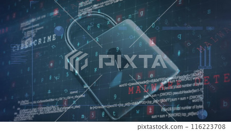A digital padlock is floating over background filled with code and text 116223708
