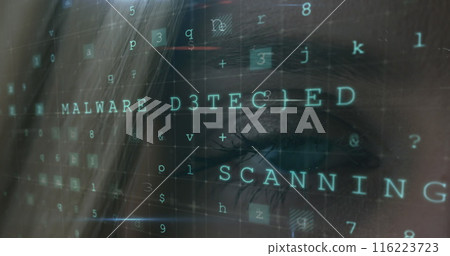 Young Caucasian female looking at computer screen with malware detection text Young Caucasian female looking at computer screen with malware detection text 116223723