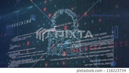 Digital code and graphics representing cybercrime and malware displayed on screen 116223734