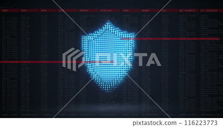 A digital shield icon is displayed on screen filled with various codes and data A digital shield icon is displayed on screen filled with various codes and data 116223773