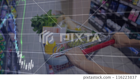 Person pushing shopping cart filled with groceries in a supermarket Person pushing shopping cart filled with groceries in a supermarket 116223837