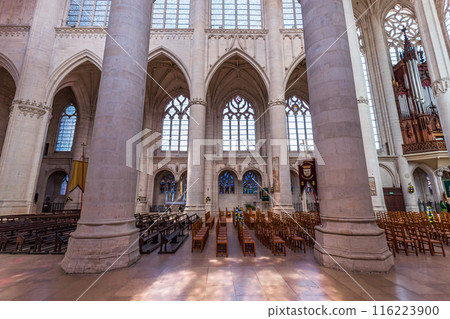 Saint-nicolas-de-port basilica, France, interiors Saint-nicolas-de-port basilica, France, interiors 116223900