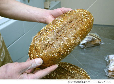 baker s hands keeping fresh baked bread, bakery baker s hands keeping fresh baked bread, bakery 116223990