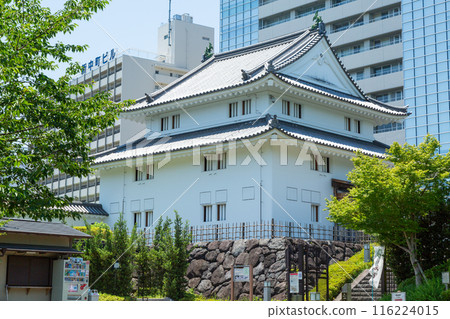 Sunpu Castle Kun Tower 116224015