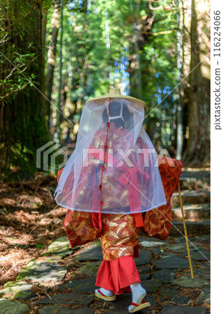Japanese woman wearing traditional Heian Period costume at the Kumano Kodo Pilgrimage Route in Wakayama prefecture of Japan 116224066