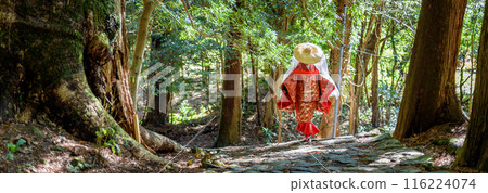 Japanese woman wearing traditional Heian Period costume at the Kumano Kodo Pilgrimage Route in Wakayama prefecture of Japan 116224074