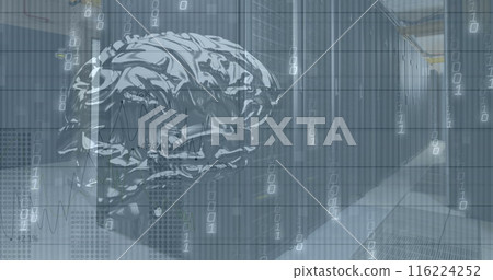 Digital brain graphic overlaying rows of servers in data center 116224252