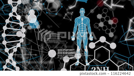 Image of dna strand, scientific data processing and human body 116224642