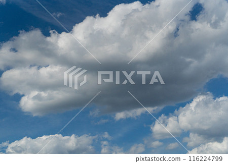 Blue Sky with White Clouds, Sunny Cloudy Sky Texture Background, Fluffy Clouds Pattern, Sunny Cumulus 116224799