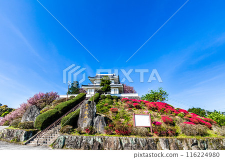 肥前犬山城的杜鵑花【佐賀縣木島郡白石町】 116224980