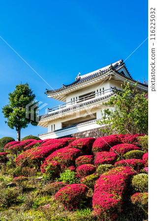 Azaleas at Hizen Inuyama Castle [Shiraishi Town, Kishima District, Saga Prefecture] 116225032