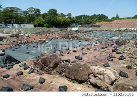 駿府城跡天守台發掘現場 116225192