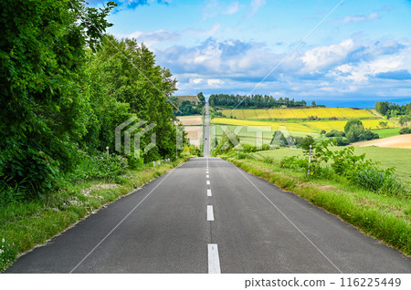Roller Coaster Road in Kamifurano, Hokkaido 116225449