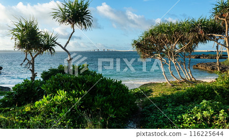 Irabu Island, Okinawa Prefecture Irabu Island, Okinawa Prefecture 116225644