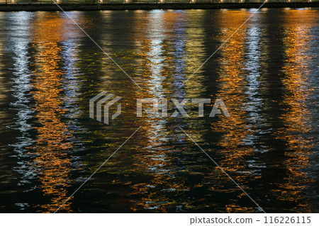 Sumidagawa Night view 116226115