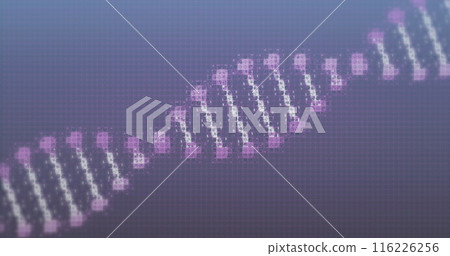 Image of dna strand spinning on purple background Image of dna strand spinning on purple background 116226256