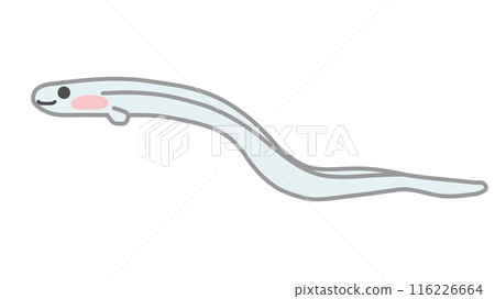 Cute glass eel illustration simple Cute glass eel illustration simple 116226664