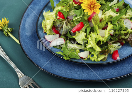 Fresh salad with dandelions. Fresh salad with dandelions. 116227395