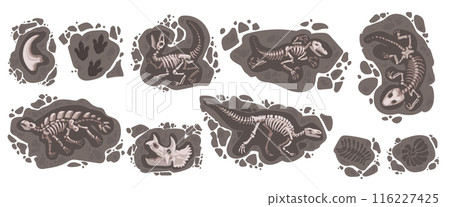 Dinosaur fossil. Dino footprint. Archaeology stone. Prehistory evolution. Jurassic animal. 3D ancient bones in soil. Tyrannosaurus paw silhouette. Ground excavation. Vector cartoon paleontological set Dinosaur fossil. Dino footprint. Archaeology stone. Prehistory evolution. Jurassic animal. 3D ancient bones in soil. Tyrannosaurus paw silhouette. Ground excavation. Vector cartoon paleontological set 116227425