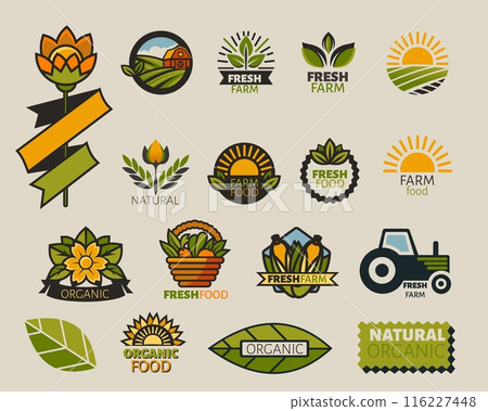 Organic nature label. ECO tag. Food design badge. Farm green agriculture logo. Bio ecology sticker. Fresh products icon. Corn field and sun. Natural leaf. Brand logotype. Vector product emblems set 116227448