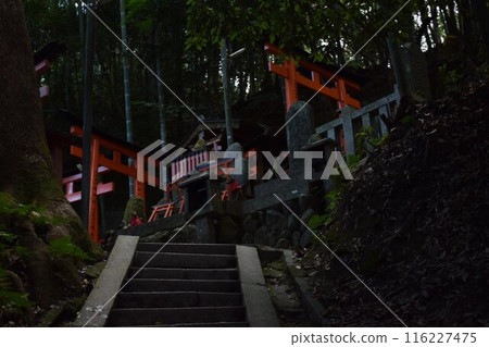 深山中令人毛骨悚然的鳥居 深山中令人毛骨悚然的鳥居 116227475
