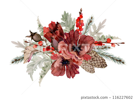 Poppy anemone flower, spruce fir tree branches cones, berries. Watercolor hand drawn illustration, composition isolated on white. Xmas, happy new year festive, noel navidad holiday. For cards, gifts. Poppy anemone flower, spruce fir tree branches cones, berries. Watercolor hand drawn illustration, composition isolated on white. Xmas, happy new year festive, noel navidad holiday. For cards, gifts. 116227602