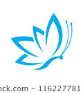 Beauty butterfly logo images 116227781