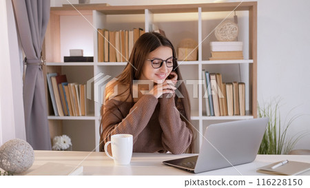 Video communication. Online call. Smiling woman in spectacles enjoying laptop internet conference sitting at desk in modern living room at home. Video communication. Online call. Smiling woman in spectacles enjoying laptop internet conference sitting at desk in modern living room at home. 116228150