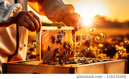 Close-up of a Beekeeper Collecting Honey From a Bee Honeycomb - Generative Ai 116228268