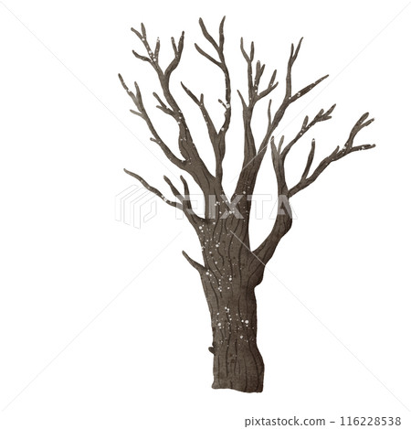 Watercolor Hand drawn illustration a haunted tree isolated spooky halloween element Watercolor Hand drawn illustration a haunted tree isolated spooky halloween element 116228538