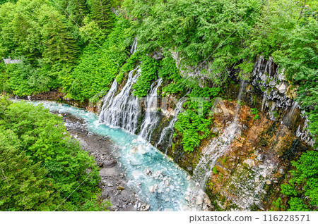 北海道美瑛的白須瀑布 116228571