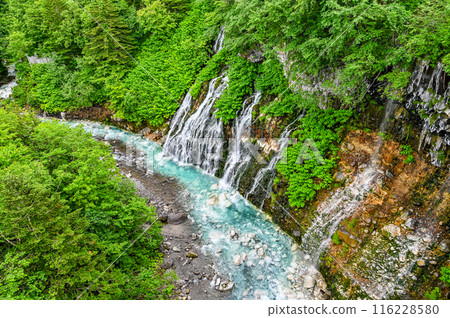 北海道美瑛的白須瀑布 116228580