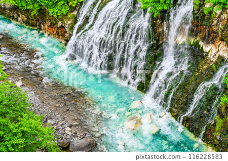 Shirahige Waterfall in Biei, Hokkaido 116228583