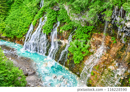 北海道美瑛的白須瀑布 116228590