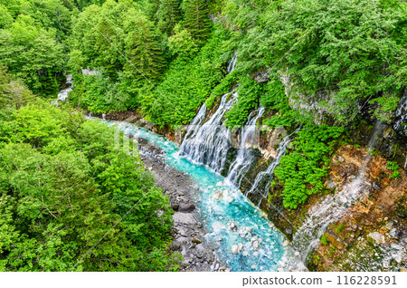 北海道美瑛的白須瀑布 116228591