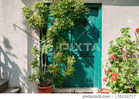 Quaint green door on a sunny day with potted plants at Laneia village. Limassol District, Cyprus Quaint green door on a sunny day with potted plants at Laneia village. Limassol District, Cyprus 116228757