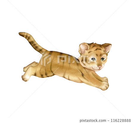 Cute kawaii tiger running and jumping. Watercolor hand drawn illustration african animal isolated on a white background. Cartoon kids print minimalist scandinavian style. 116228888