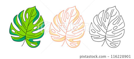 Tropical monstera leaf, jungle plant, colorful and line icons set. Summer vector outline icon, monochrome and color illustration. Holiday and vacation, summertime. For logo, sticker, coloring book Tropical monstera leaf, jungle plant, colorful and line icons set. Summer vector outline icon, monochrome and color illustration. Holiday and vacation, summertime. For logo, sticker, coloring book 116228901