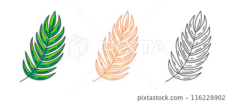 Tropical leaf, exotic jungle plant, colorful and line icons set. Summer vector outline icon, monochrome and color illustration. Holiday and vacation, summertime. For logo, sticker, coloring book 116228902