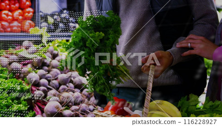 Image of financial data processing over caucasian couple grocery shopping Image of financial data processing over caucasian couple grocery shopping 116228927