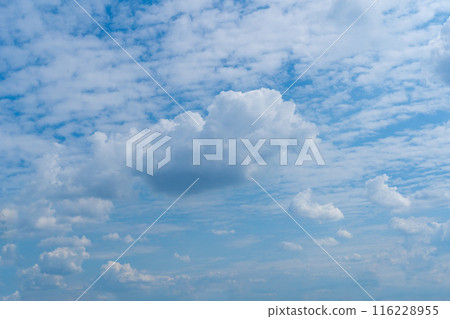Blue Sky with White Clouds, Sunny Cloudy Sky Texture Background, Fluffy Clouds Pattern, Sunny Cumulus Blue Sky with White Clouds, Sunny Cloudy Sky Texture Background, Fluffy Clouds Pattern, Sunny Cumulus 116228955