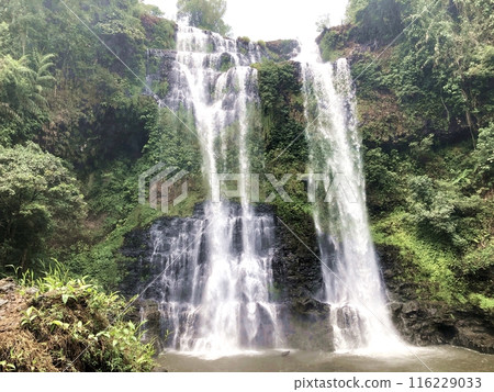 Pakse Waterfalls, Laos 116229033