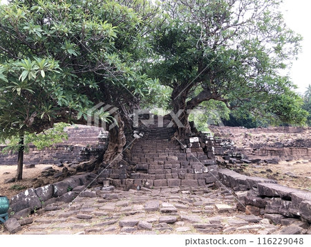 World Heritage Site "Vat Phu" in Laos World Heritage Site "Vat Phu" in Laos 116229048