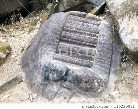 寮國世界遺產普胡寺的一塊刻有蛇的岩石 116229051