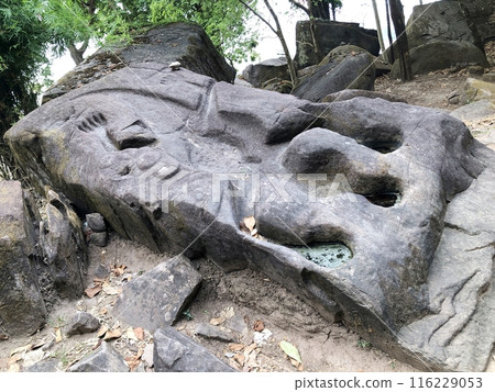 World Heritage Site in Laos "Wat Phu" Crocodile Carved Rock World Heritage Site in Laos "Wat Phu" Crocodile Carved Rock 116229053