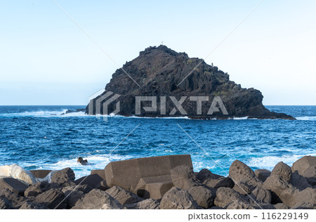 Coastal defenses tetrapods, breakwater concrete structures, wave breakers, shoreline protection 116229149